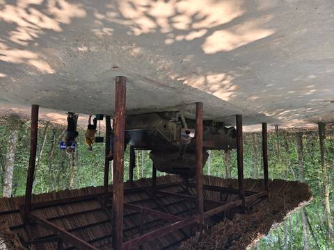       Visitors examine a rusted tank sheltered under a thatched roof in a forest clearing.
  