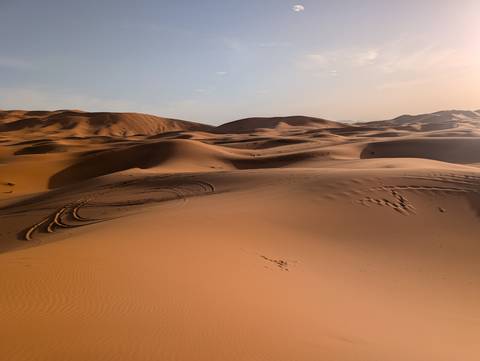       Sweeping view of endless orange sand dunes with wind-carved ridges under soft light.
  