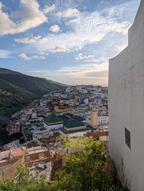       Hillside town of tightly packed pastel and blue houses framed by green mountains under soft sky.
  