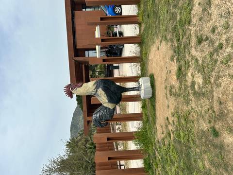       Large painted rooster statue outside a modern visitor centre.
  
