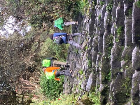       Hikers with bright green packs ascend steep ancient stone steps enveloped by dense vegetation.
  