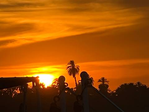       Vibrant orange sunset with palm tree silhouettes and faint boat structures
  