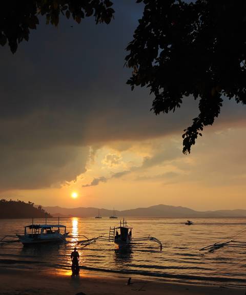       Golden sun setting behind misty mountains with dramatic clouds and a leafy branch silhouette.
  