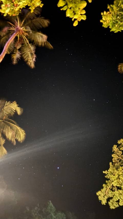       Star-filled night sky with a softly lit palm tree edge mirroring the tropical darkness.
  