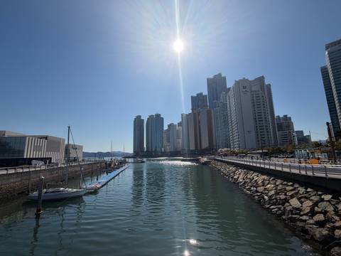       Modern high-rises line a sunny marina with calm water and moored sailboats.
  