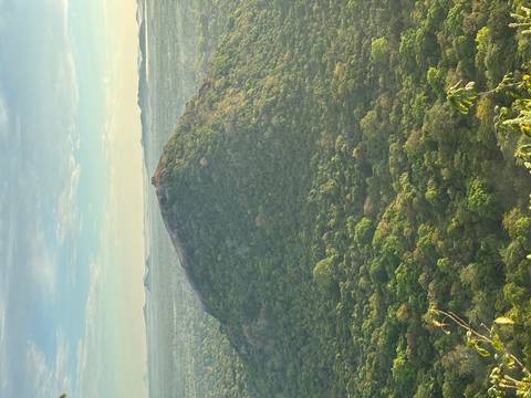       Lush forested peak with ancient ruins perched on its summit
  