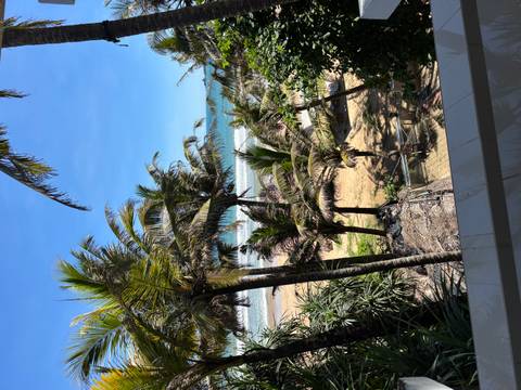       View through swaying palm fronds to a sandy tropical beach and turquoise sea
  