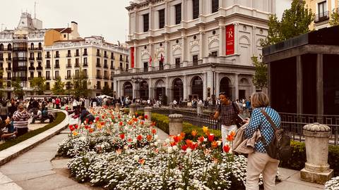       Busy urban plaza with colorful tulip beds, pedestrians, and a grand neoclassical building.
  