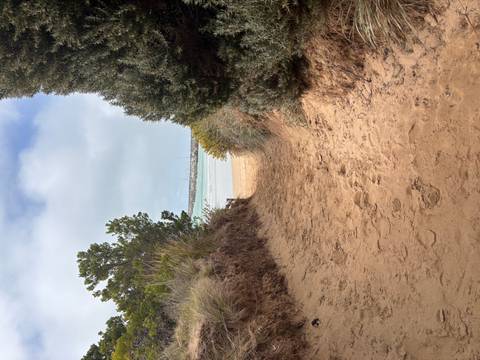       Sandy footpath framed by coastal shrubs leading to a quiet beach and turquoise bay with yachts
  