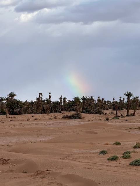       Photo d'avis client sur Circuit au Maroc 14 jours à partir de Casablanca 
  
