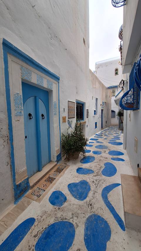       Charming blue-and-white alley with arched doors and patterned cobblestones in Sidi Bou Said.
  