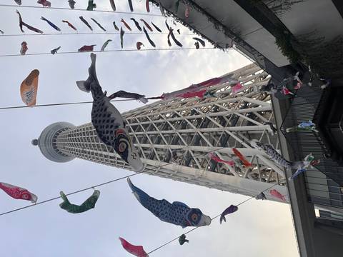       Tokyo Skytree soaring into the sky framed by colorful carp streamers fluttering on lines.
  