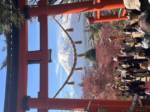       Snow-capped Mount Fuji perfectly framed beneath a red Shinto torii with spring blossoms and tourists below.
  