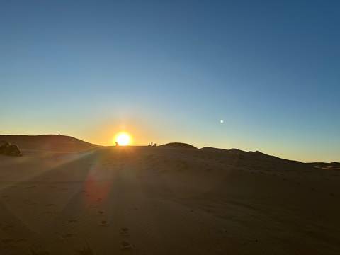       Golden sun setting over rolling Sahara dunes casting long shadows on rippled sand.
  