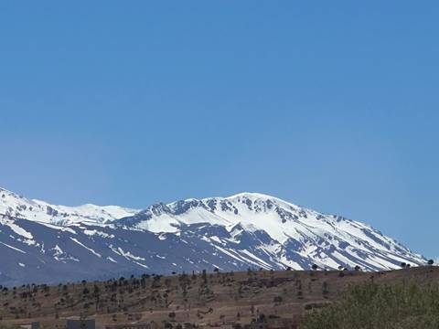      Snow-topped Atlas mountain ridge contrasting against a clear blue sky and arid foreground.
  