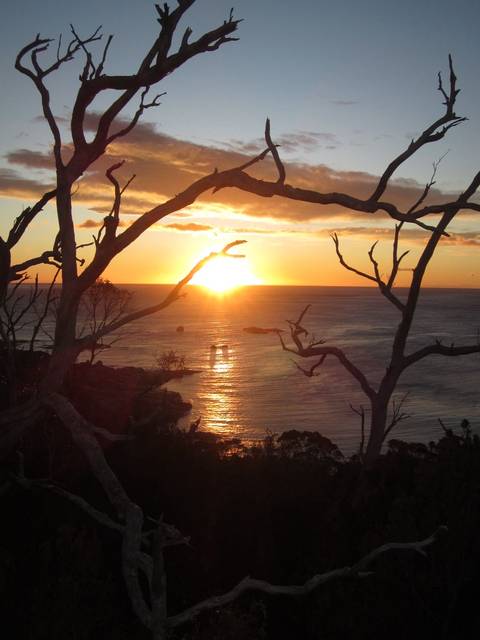       Golden sun dipping into the sea, framed by silhouetted tree branches on a rocky coastline.
  