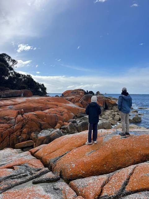       Two travellers in jackets admire vibrant orange lichen-covered rocks along a rugged shoreline.
  