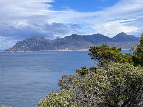       Distant mountain range rising from the sea viewed beyond green coastal scrub under a bright sky.
  