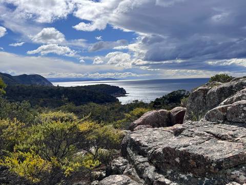       Rocky coastal viewpoint overlooking forests, sea cliffs and sparkling ocean beneath dramatic clouds.
  