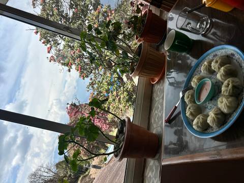       Plate of steamed momos with sauce on a table beside potted flowers and a mountain view window.
  