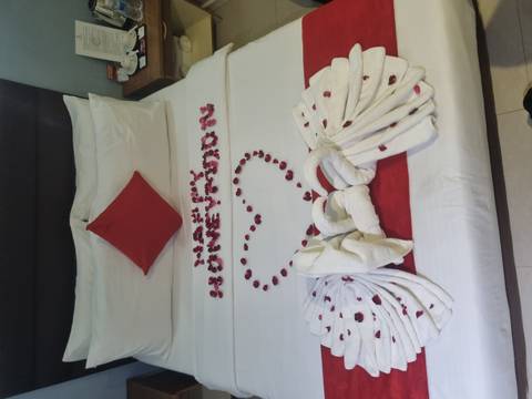       Hotel bed decorated with towel swans, rose petals and a heart spelling 'Happy Honeymoon'.
  