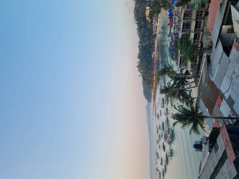       Early morning view over a coastal town with fishing boats anchored in a calm bay and palm trees below.
  