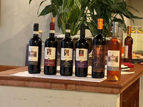       Row of six labelled wine bottles on a counter ready for a tasting session.
  