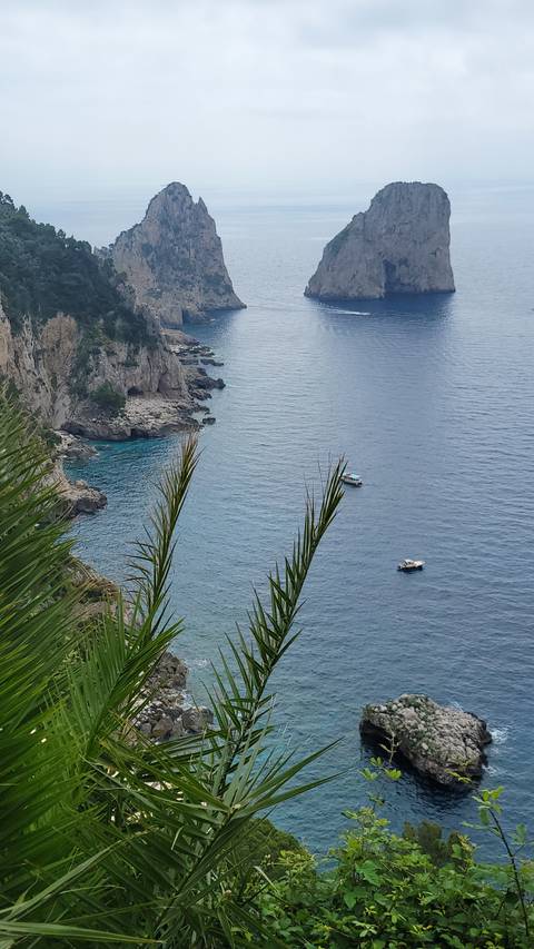       foto de reseña de cliente de Descubre Italia 
  