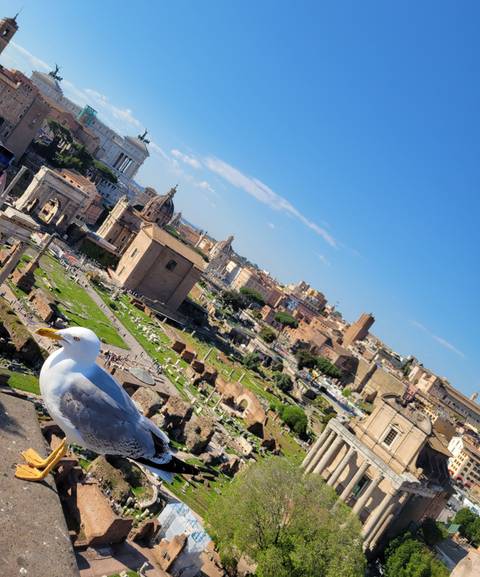       foto de reseña de cliente de Descubre Italia 
  