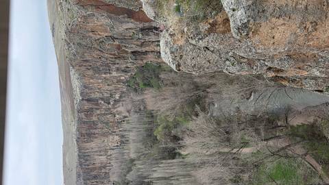       A rugged canyon with sheer ochre cliffs, a narrow river below, and sparse spring greenery on an overcast day.
  