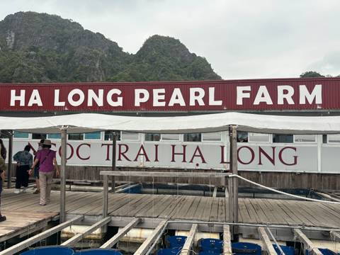       Visitor walks beneath a large red sign reading 'HA LONG PEARL FARM' on a floating platform.
  