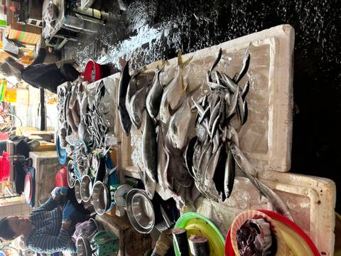      Market stall displays a variety of fresh fish on ice while vendors prepare seafood.
  