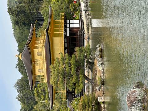       Golden Pavilion temple glimmers beside tranquil pond surrounded by pines.
  