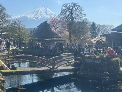       Traditional village pond with wooden bridge and distant snow-capped Mount Fuji backdrop.
  