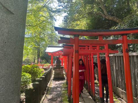       Narrow corridor of small red torii gates with travelers walking through dappled light.
  