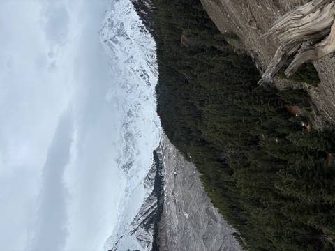       Snow-capped mountains rising above dense pine forests under cloudy skies.
  