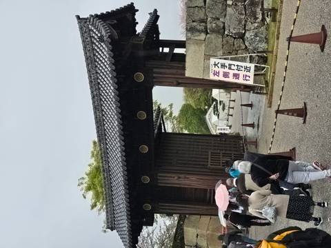       Visitors with umbrellas enter a large wooden gate adorned with gold medallions on a rainy day.
  