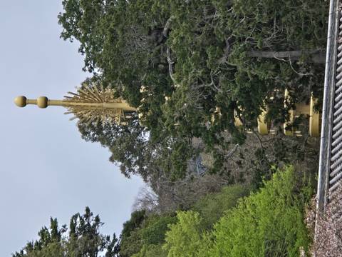       Golden pagoda finial rises above dense evergreen trees against a gray sky.
  