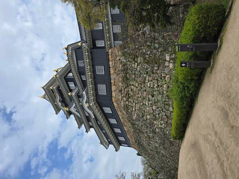       Black-walled Okayama Castle with gold roof ornaments towers above its massive stone base under blue skies.
  