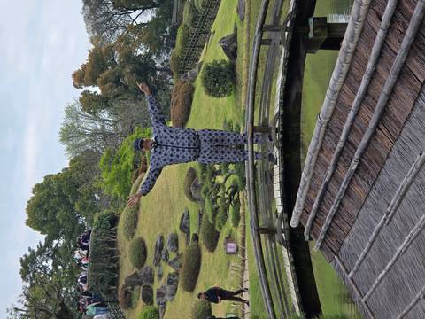       Man balances playfully on a curved wooden bridge in a landscaped Japanese garden.
  