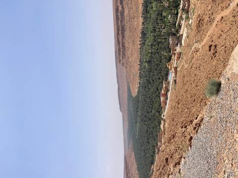       High desert plateau view overlooking a green oasis valley and small village
  