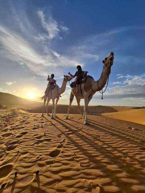       Two riders give thumbs-up atop camels casting long shadows on golden Sahara dunes at sunset.
  