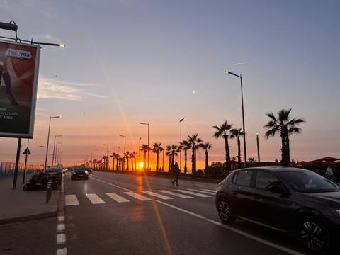       Cars and palm trees line a seaside boulevard as the sun sets in a fiery orange glow.
  