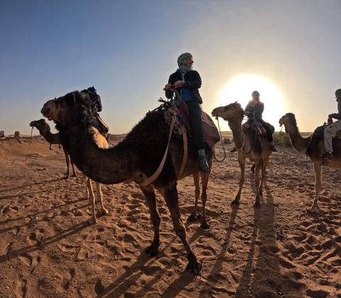       Travelers riding camels across golden sand dunes with the sun low on the horizon.
  