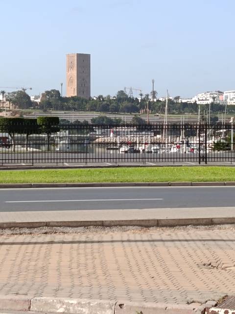       Marina with moored boats seen through a black metal fence beside a roadway.
  