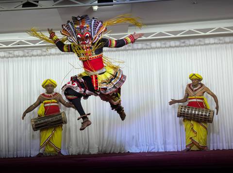       Vibrant traditional dancers in elaborate costumes mid-performance on stage.
  