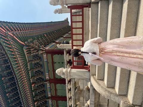       Woman wearing a pink hanbok standing on stone steps facing an ornate palace building.
  