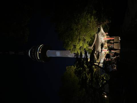       N Seoul Tower illuminated against the night sky above a lit pavilion and surrounding trees.
  