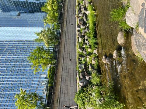       Urban creek with stepping stones and greenery in front of tall glass office buildings.
  