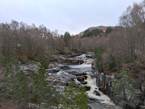       Small cascading woodland waterfall flows through rocky steps surrounded by bare birch trees.
  